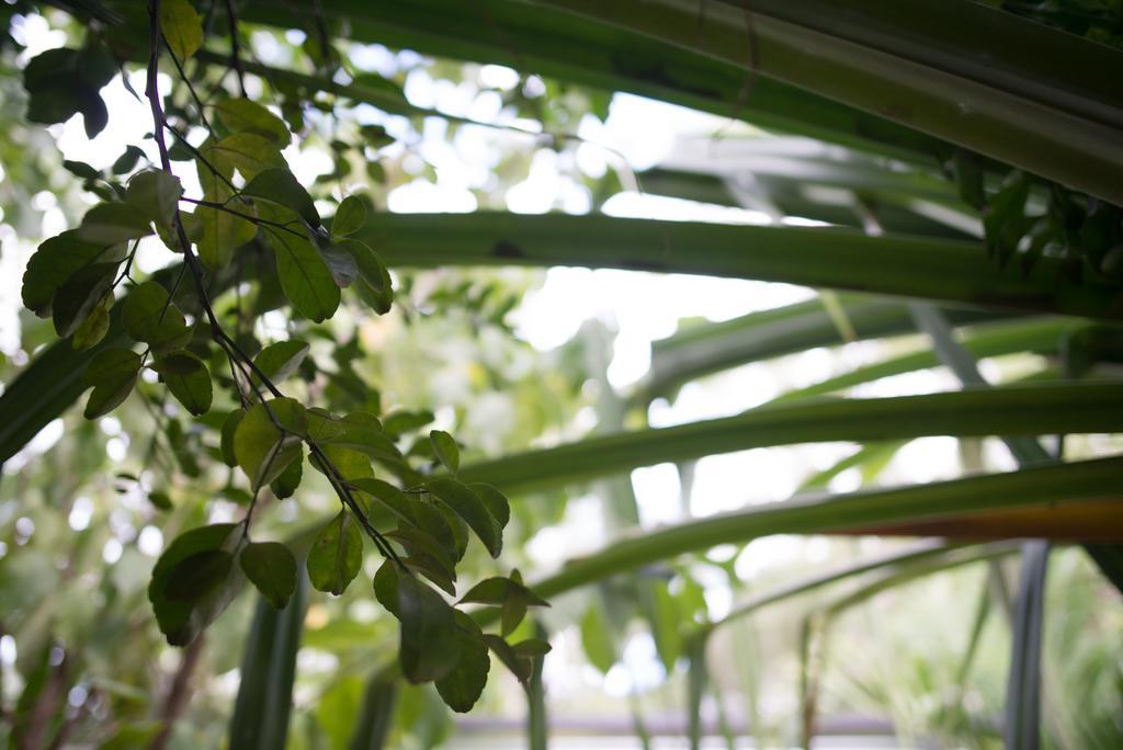 Tamarindo Sunshine 호텔 외부 사진